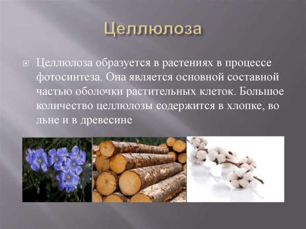 Нахождение в природе целлюлозы