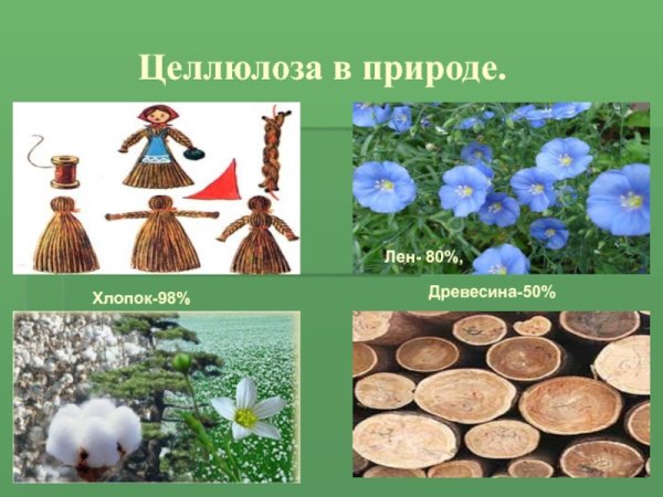 Целлюлоза в природе