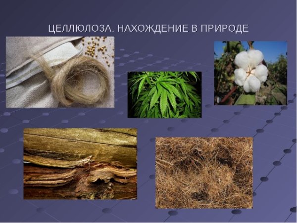 Целлюлоза в природе