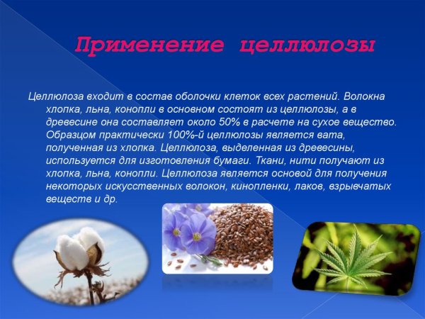 Нахождение в природе целлюлозы