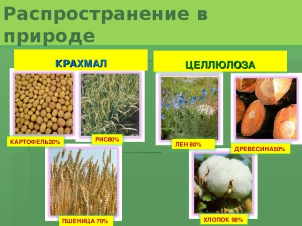 Нахождение в природе целлюлозы