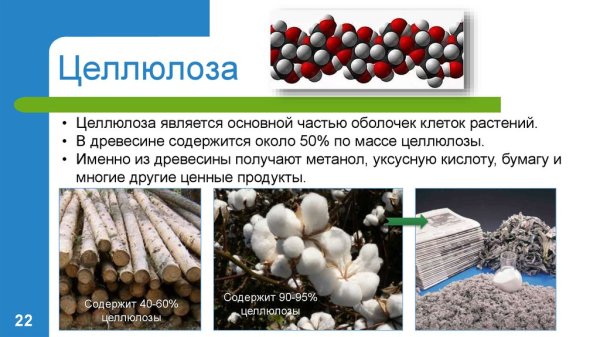 Целлюлоза