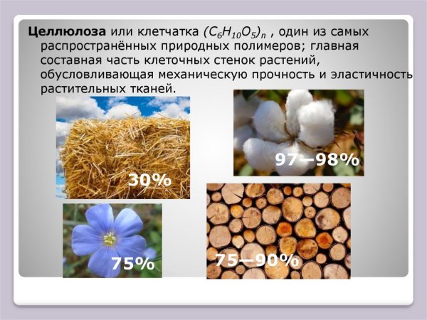 Целлюлоза в растениях