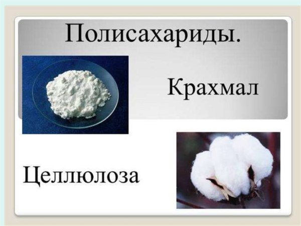 Углеводы нахождение в природе