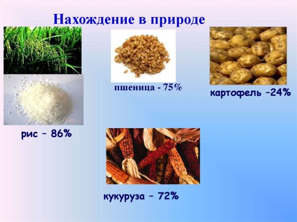 Целлюлоза презентация