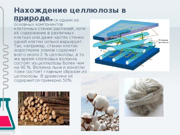 Полисахариды в растениях