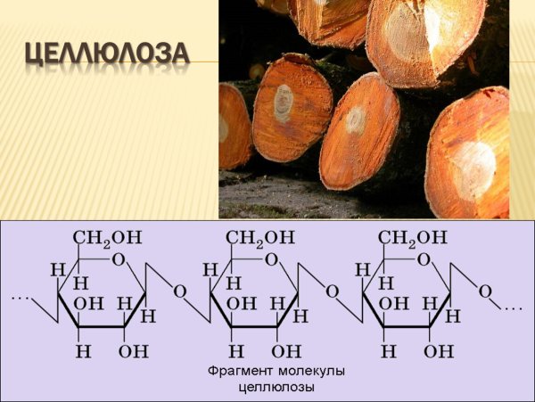Физические св-ва целлюлозы