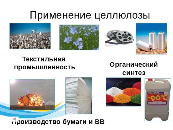 Биологическая роль целлюлозы