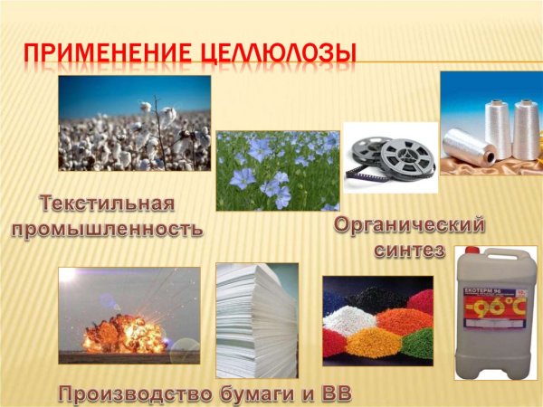 Строение крахмала и целлюлозы