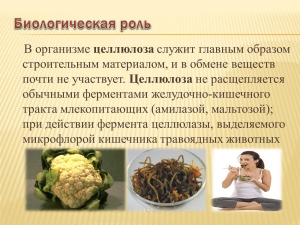 Нахождение в природе крахмала и целлюлозы