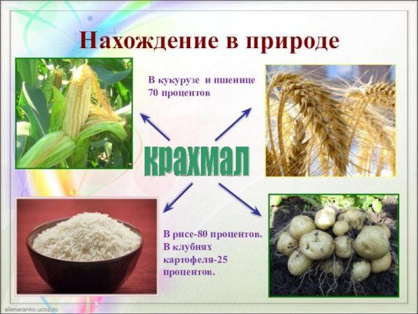 Нахождение в природе полисахаридов крахмала