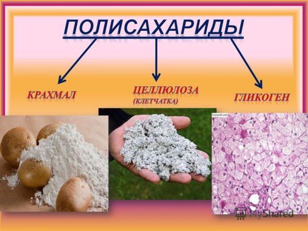 Древесная Целлюлоза формула