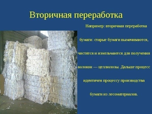 Источники целлюлозы