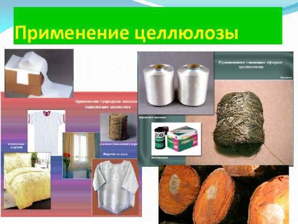 Целлюлоза в природе