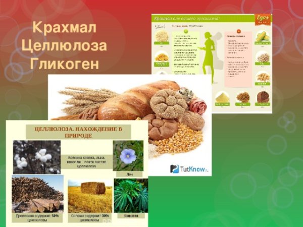 Целлюлоза полисахарид
