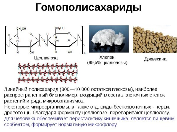 Чистая Целлюлоза