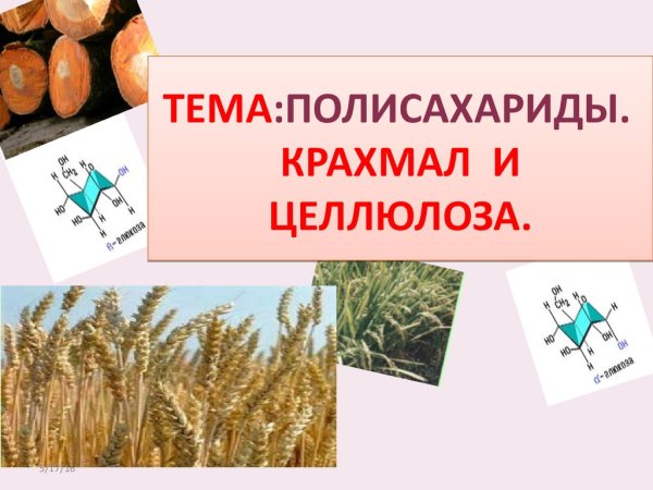 Бумага из целлюлозы