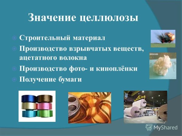 Нахождение в природе целлюлозы