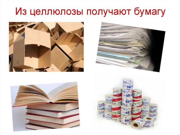 Из чегомделается бумага