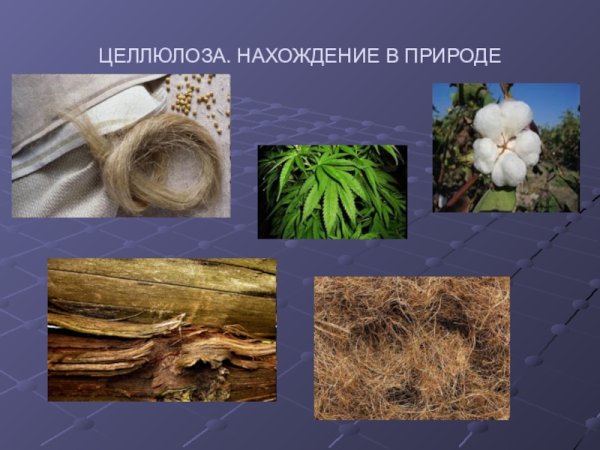 Сульфатная Целлюлоза