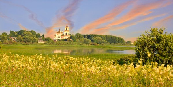 Березовая роща деревня