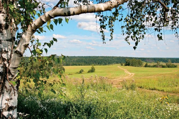 Родина иллюстрация