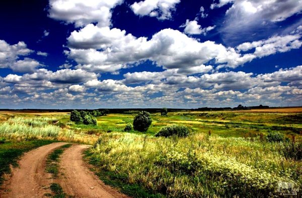 Пейзаж родного края