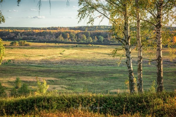 Родные просторы Пушгоры панорама