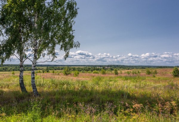 Река Кизема Устьянский район