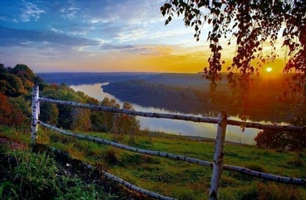 Русь Россия Святая березы