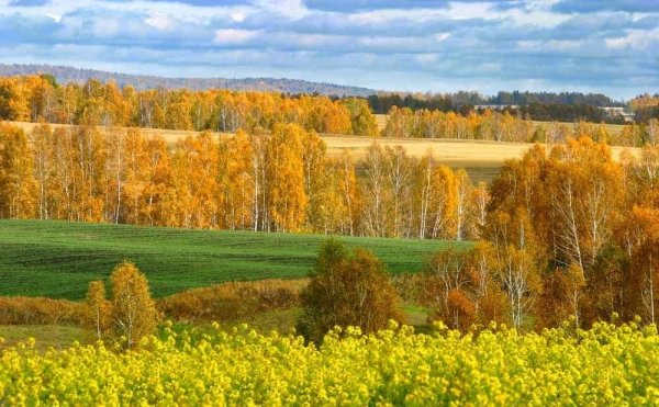 Поля и Луга Кировской области