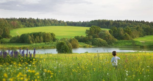 Красота родной земли