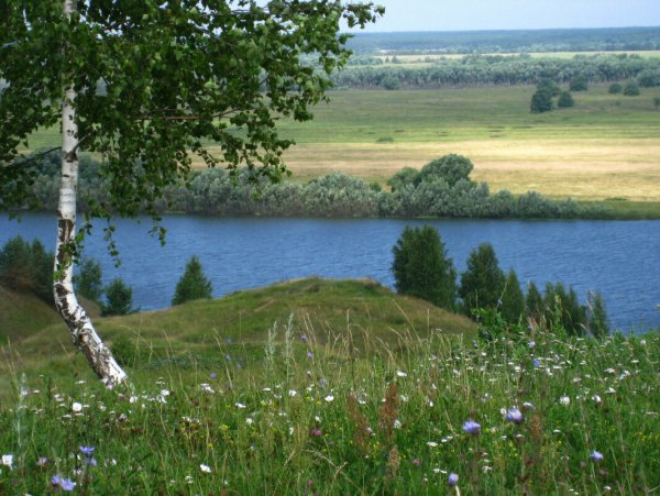 Пейзаж родного края