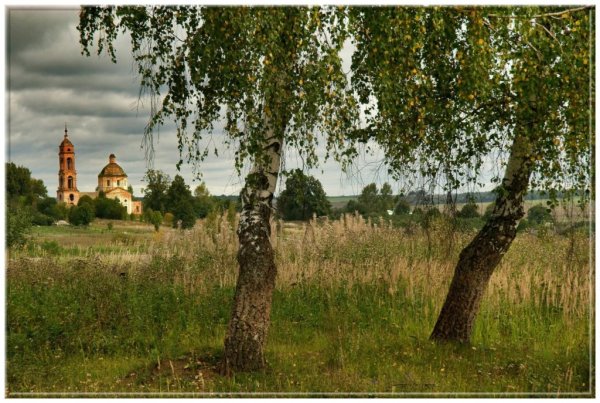 Россия просторы Березки реки