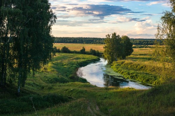 Русское поле