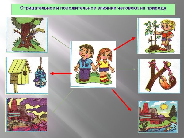 Положительное влияние человека на природу