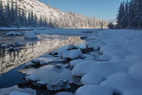 Северная природа Республики Коми