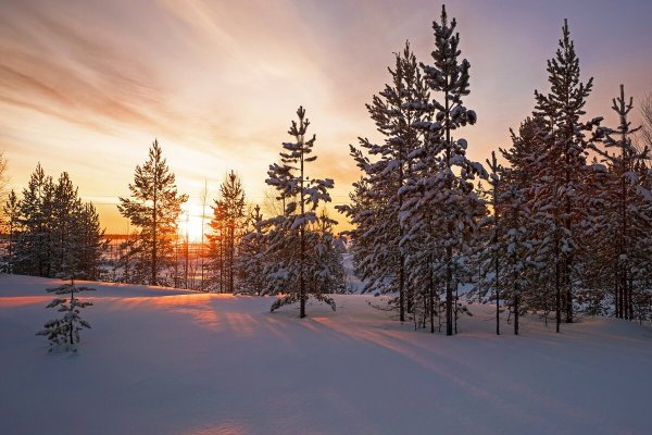 Коми природа Сыктывкар