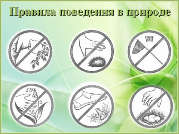 Знаки правильного поведения в природе