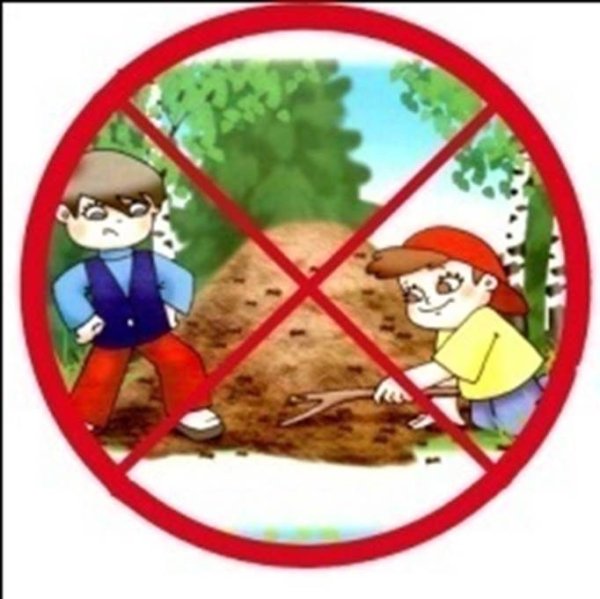 Разрешающие знаки в природе