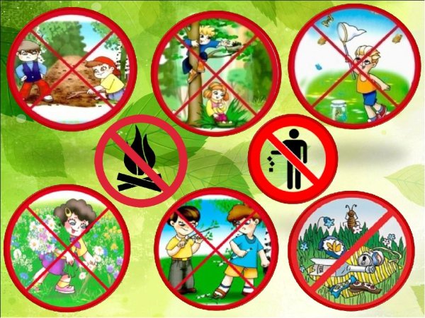 Правила поведения на природе