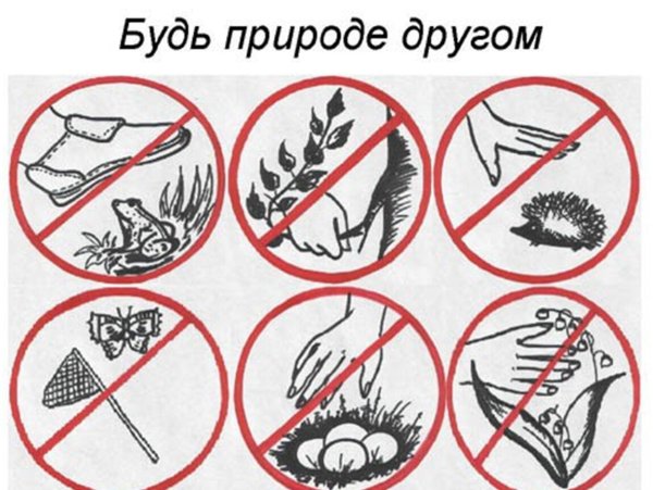 Знаки охраны природы