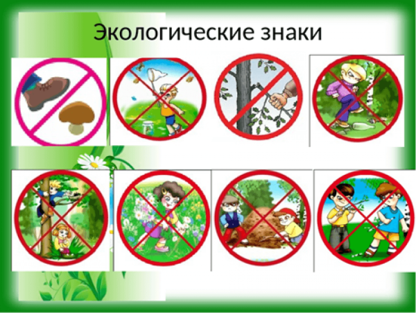 Правила друзей природы и экологические знаки