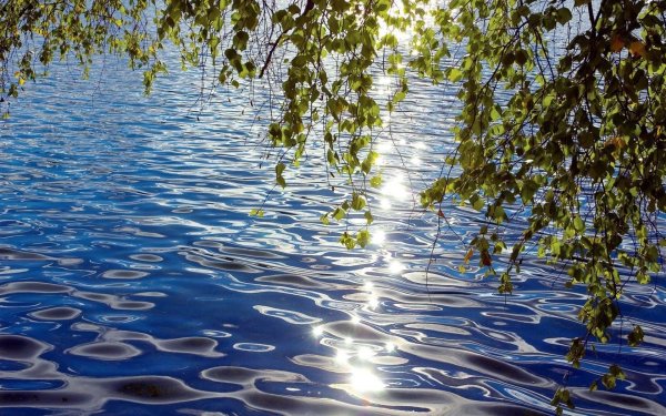 Вода в природе презентация
