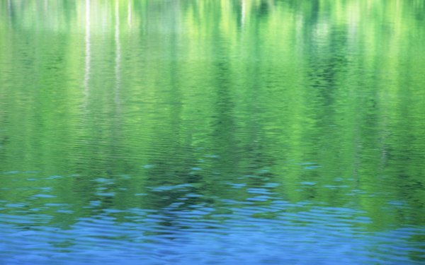 Состояния воды для дошкольников