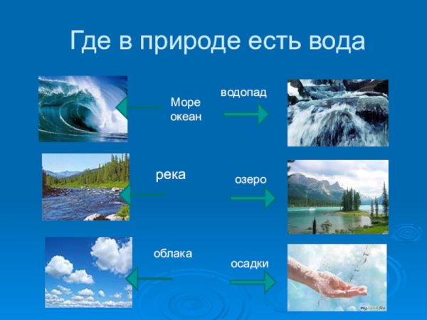 Вода источник жизни