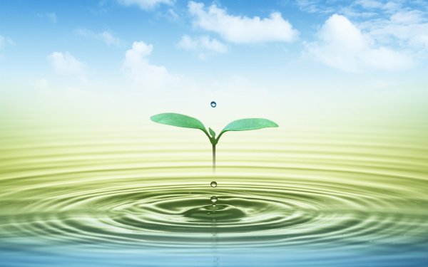 Экология воды