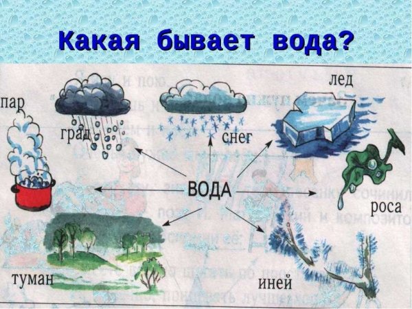 Тема недели волшебница вода