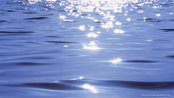 Вода в пруду
