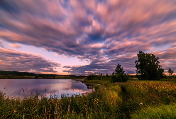 Ворсма природа